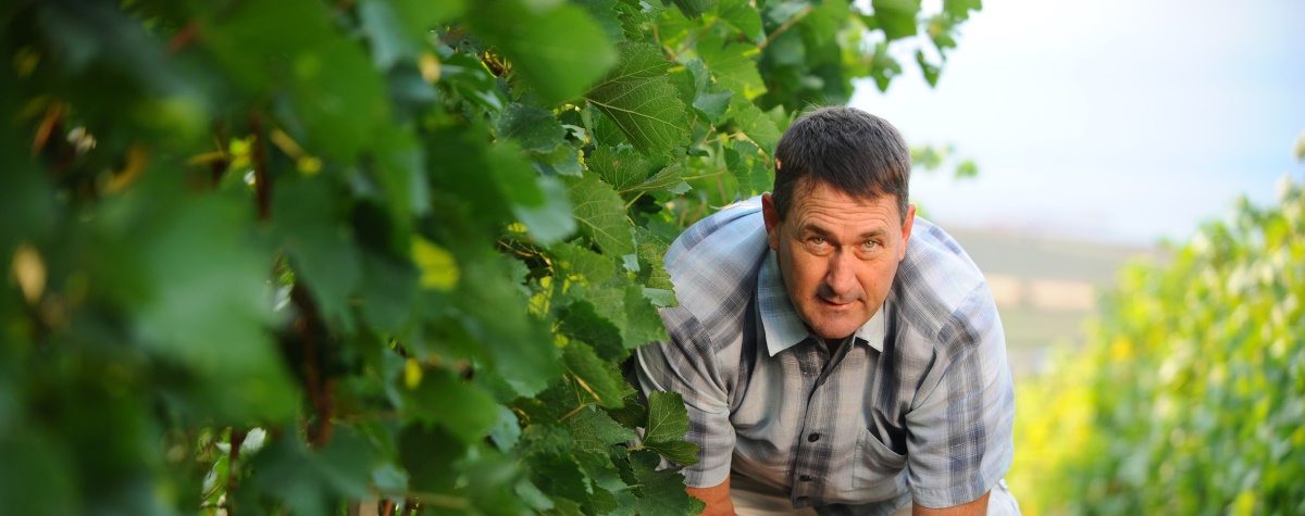 Ten reasons to admire this flying winemaker